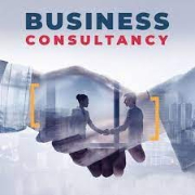 BUSINESS CONSULTING